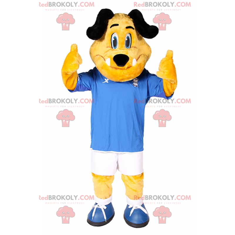 Hondenmascotte in voetbalkleding - Redbrokoly.com