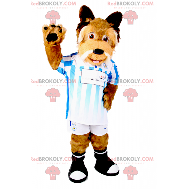 Cão mascote com equipamento de futebol - Redbrokoly.com Cão mascote com equipamento de futebol - Redbrokoly.com