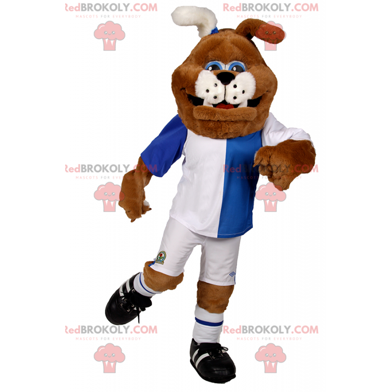 Dog mascot in blue and white soccer gear - Redbrokoly.com