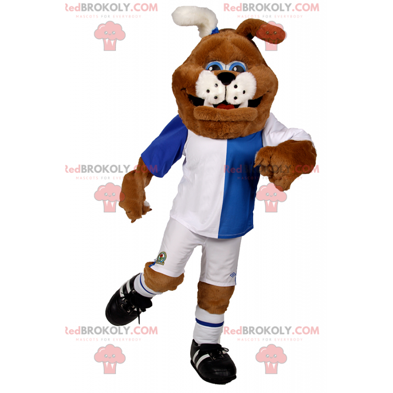 Psí maskot v modré a bílé fotbalové vybavení - Redbrokoly.com Psí maskot v modré a bílé fotbalové vybavení - Redbrokoly.com