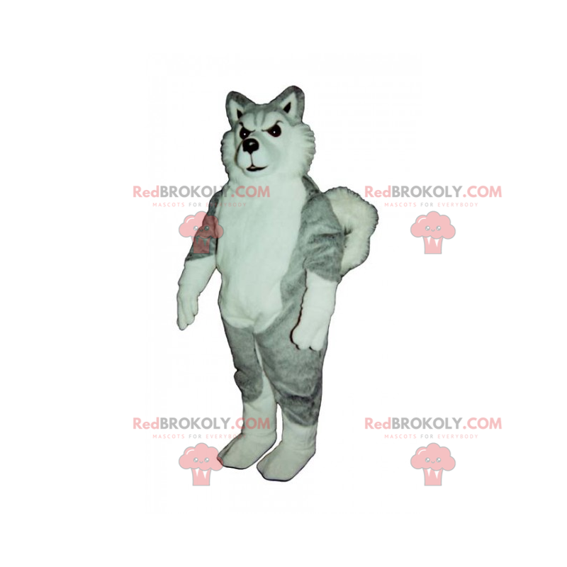 Mascote cachorro lobo - Redbrokoly.com