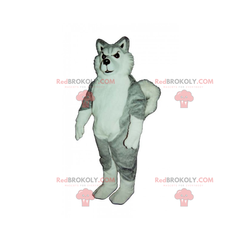 Mascotte de chien loup - Redbrokoly.com