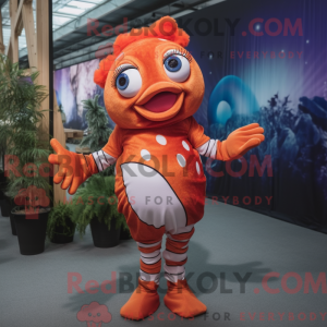 Maskotka Rust Clown Fish to...