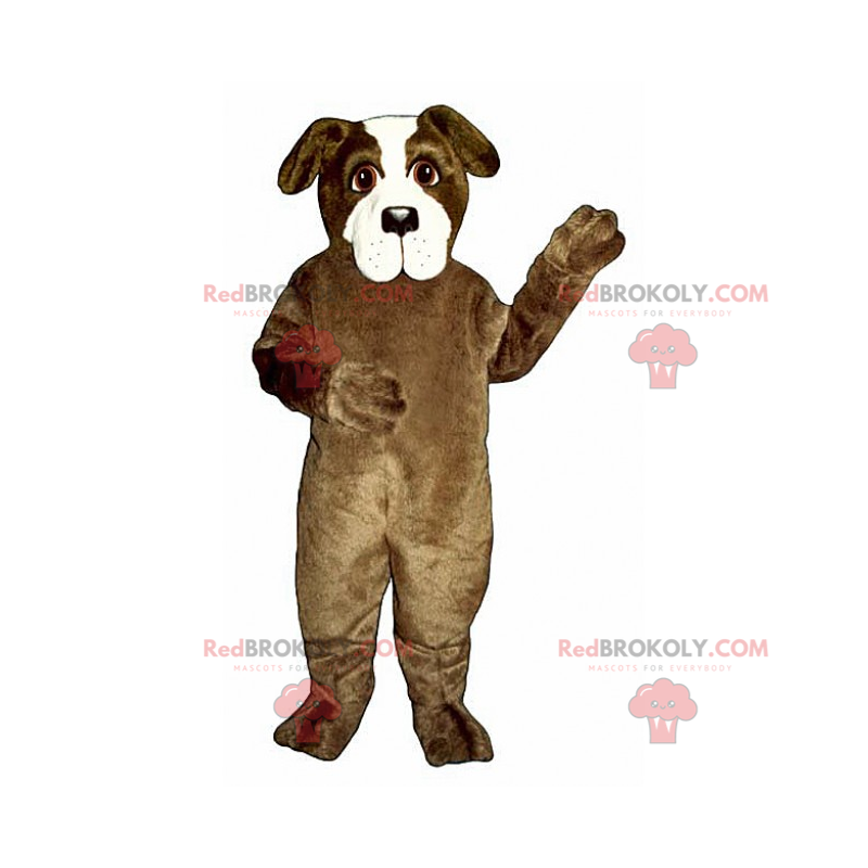 Mascote cachorro marrom e branco - Redbrokoly.com