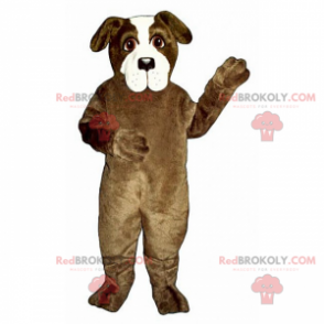 Mascota del perro marrón y blanco - Redbrokoly.com