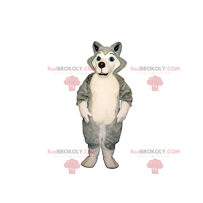 Lille husky maskot - Redbrokoly.com