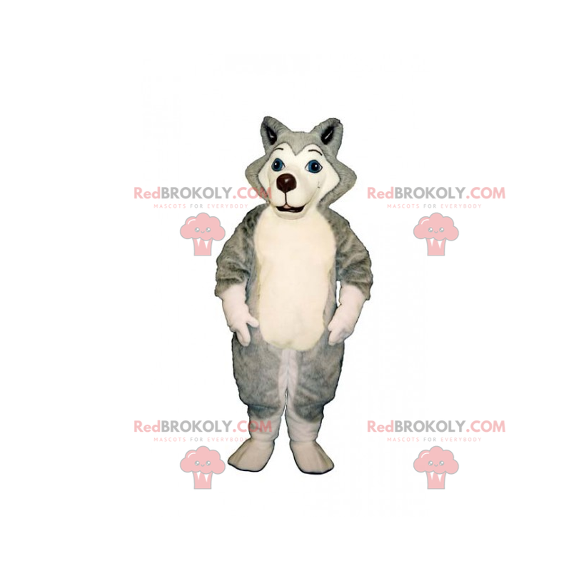 Little Husky mascot - Redbrokoly.com