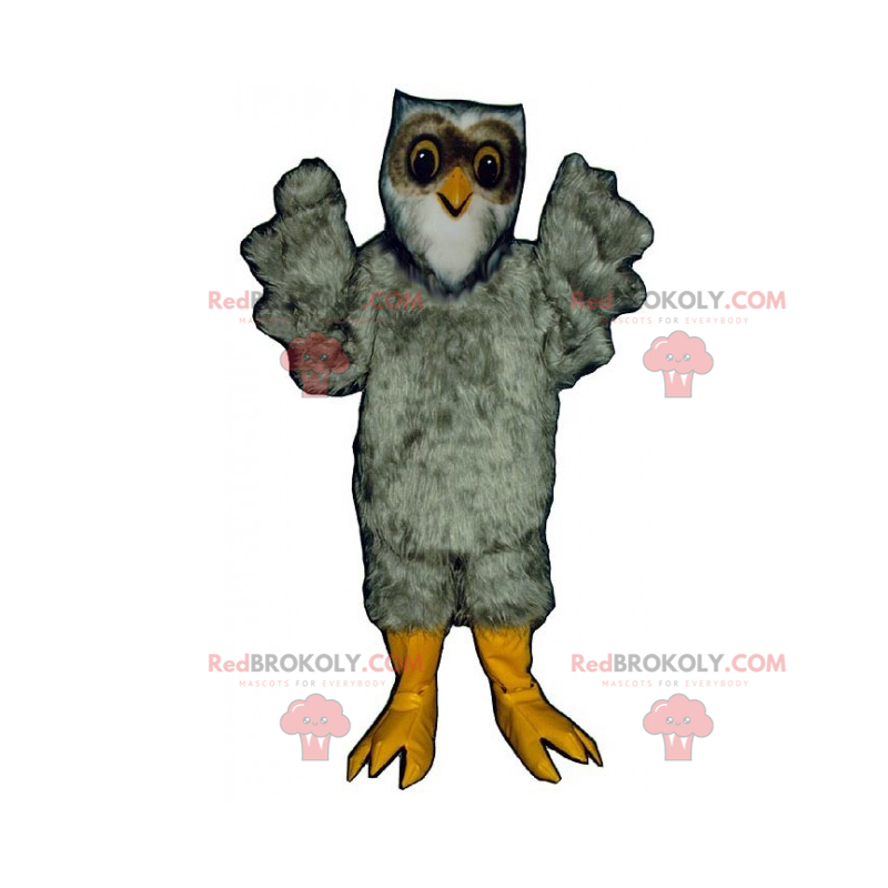 Grå ugle maskot - Redbrokoly.com Grå ugle maskot - Redbrokoly.com