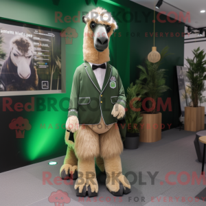 Forest Green Camel maskot...