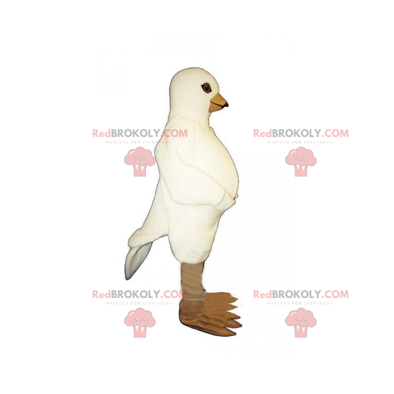 Mascotte de colombe - Redbrokoly.com