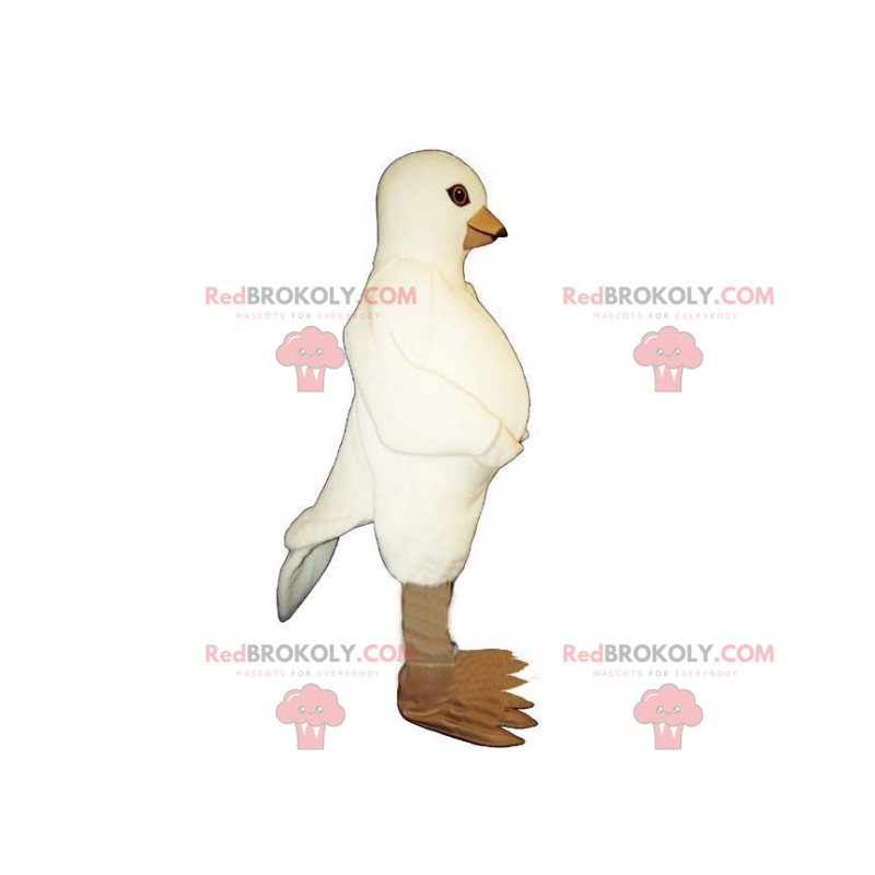 Mascotte della colomba - Redbrokoly.com