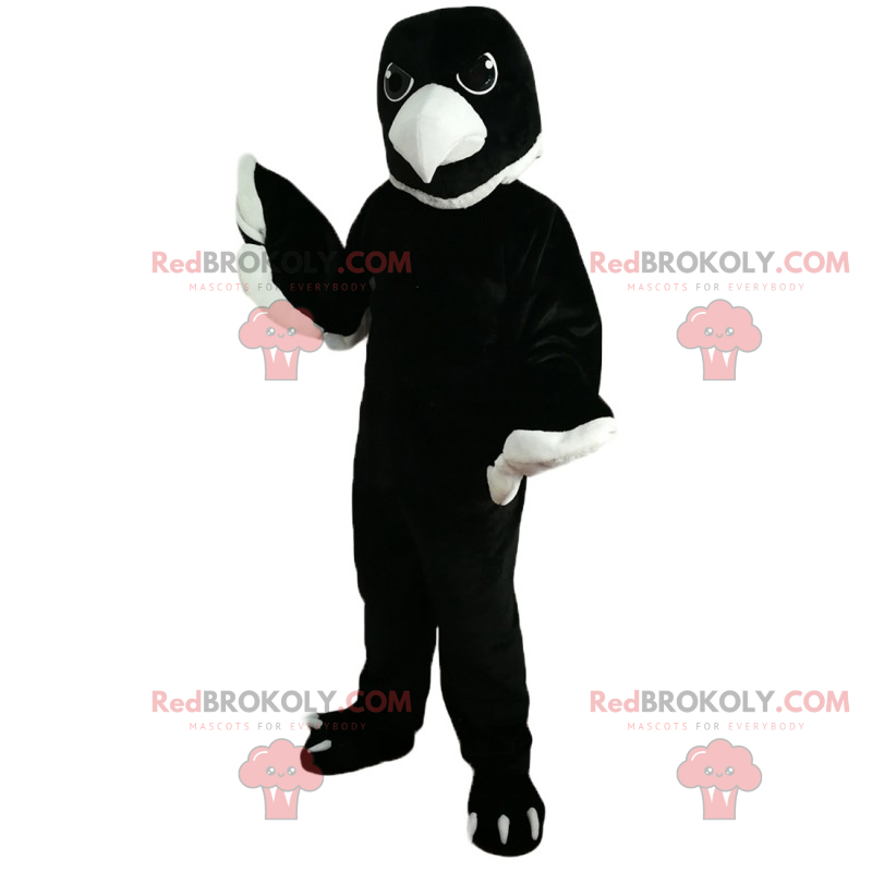 Raven mascot with white beak - Redbrokoly.com