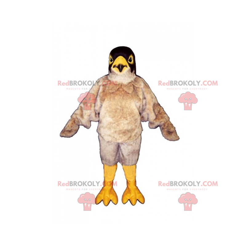 Mascote corvo bege - Redbrokoly.com