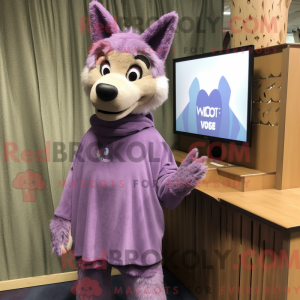 Lavendel Dingo...