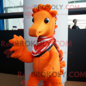 Oranje Zeepaardje...