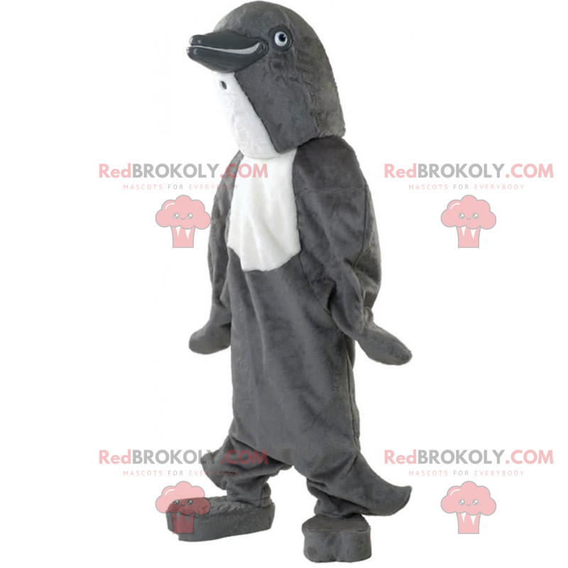 Gray dolphin mascot - Redbrokoly.com