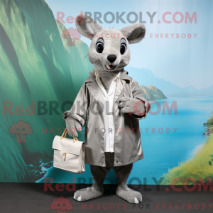 Silver Kangaroo mascot...