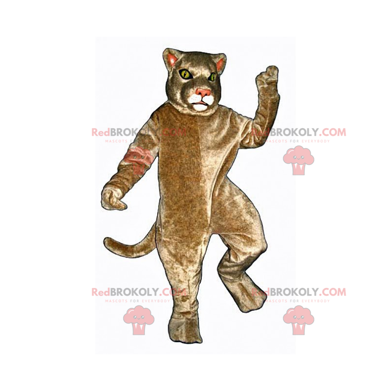 Maskotka beżowy kot - Redbrokoly.com