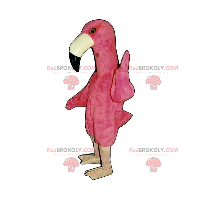 Mascote flamingo - Redbrokoly.com
