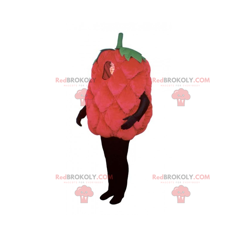 Raspberry mascot - Redbrokoly.com