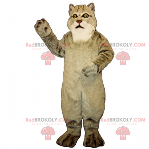 Big gray cat mascot - Redbrokoly.com