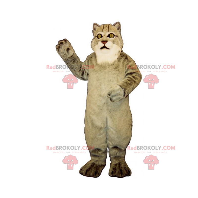 Grote grijze kat mascotte - Redbrokoly.com