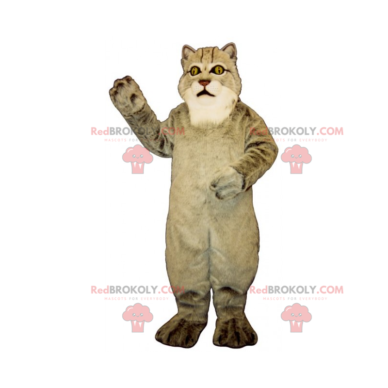 Stor grå kattmaskot - Redbrokoly.com