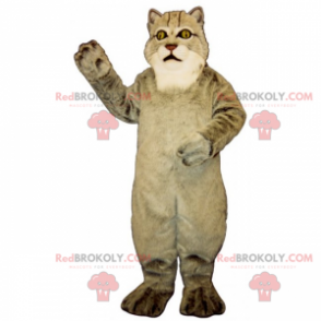 Mascote grande gato cinza - Redbrokoly.com