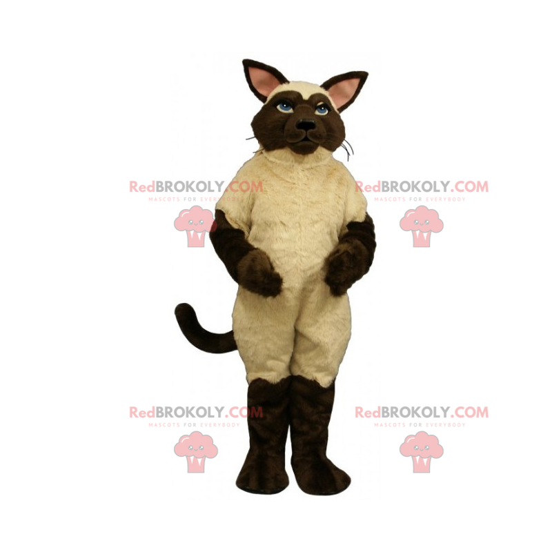 Stor siamesisk kattmaskot - Redbrokoly.com