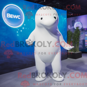 Hvit Beluga...