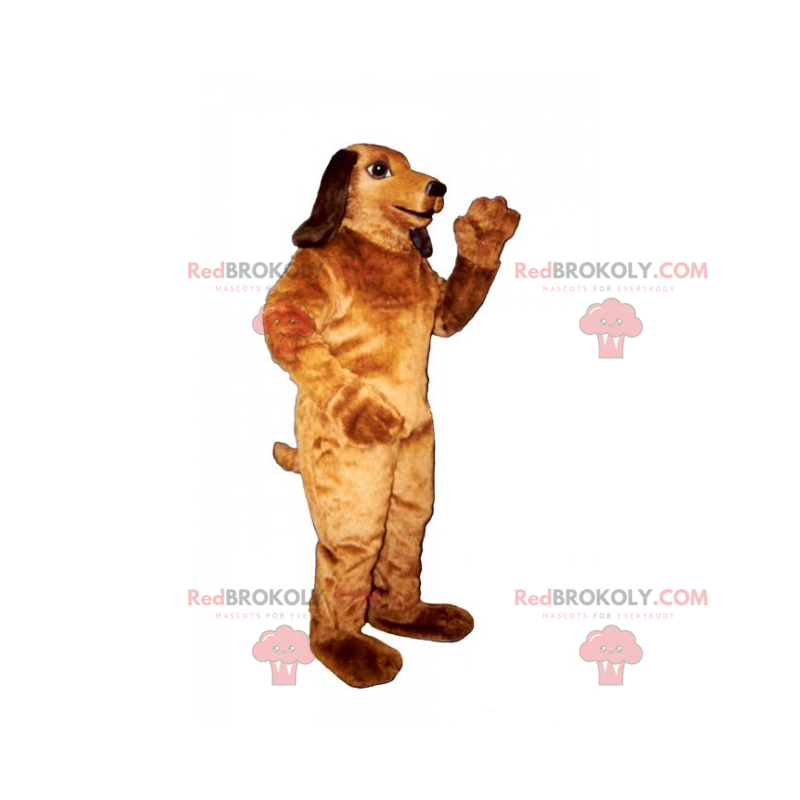 Great dachshund mascot - Redbrokoly.com
