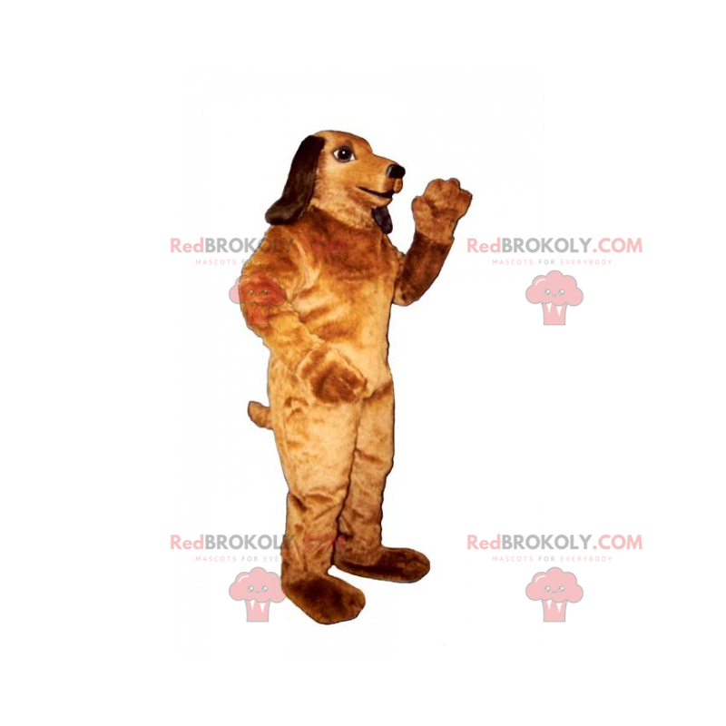 Stor dachshund maskot - Redbrokoly.com