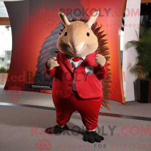 Red Armadillo...