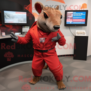 Red Armadillo mascot...