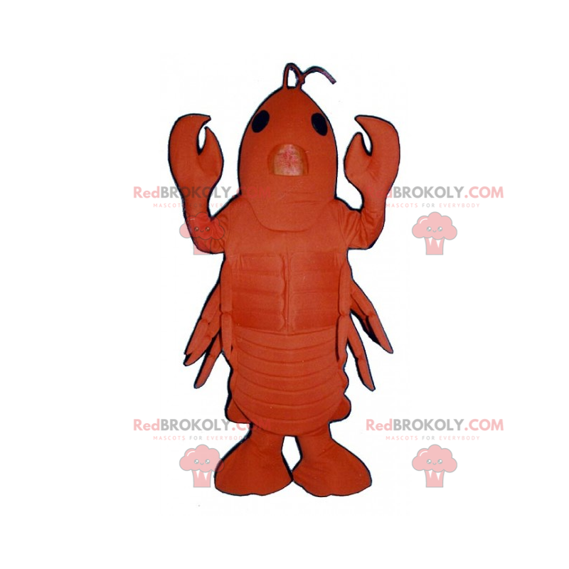 Mascotte grande aragosta - Redbrokoly.com