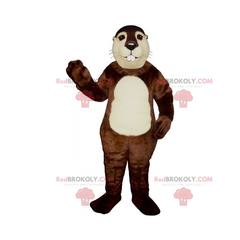Hamster mascot with a white belly - Redbrokoly.com