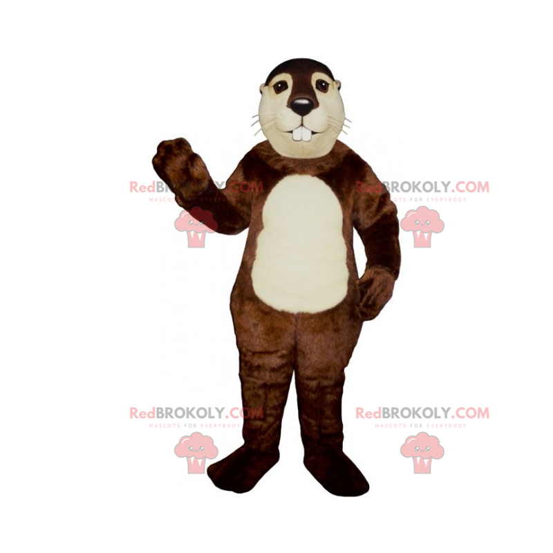 Mascote hamster com barriga branca - Redbrokoly.com