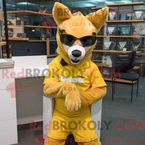 Gull Dingo maskot drakt...