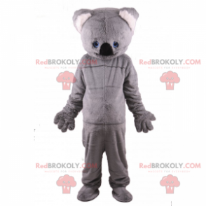 Maskot koala z měkké kožešiny - Redbrokoly.com