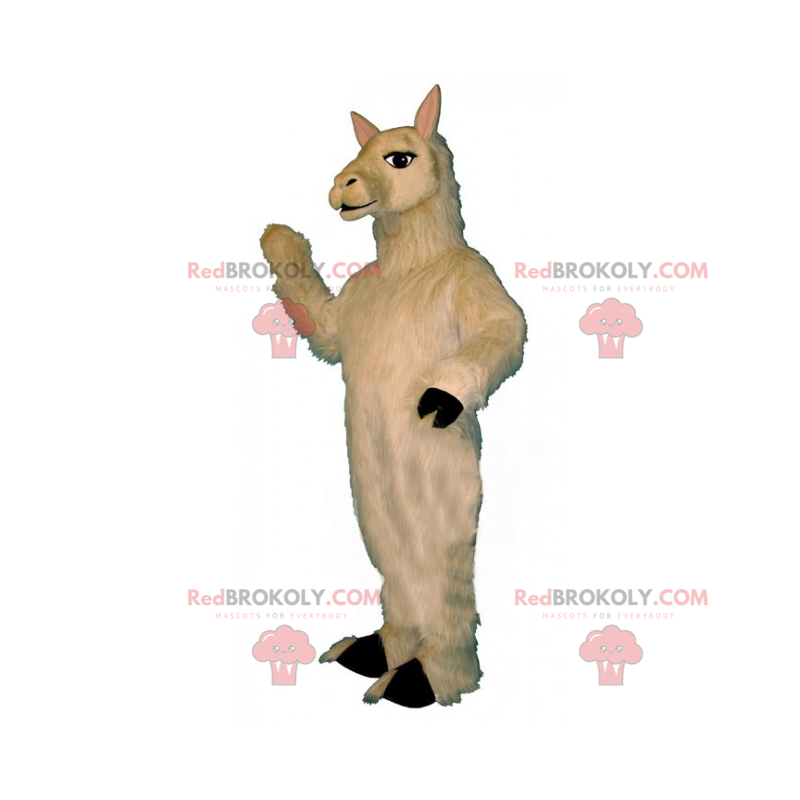 Mascotte de lama blanc - Redbrokoly.com Mascotte de lama blanc - Redbrokoly.com