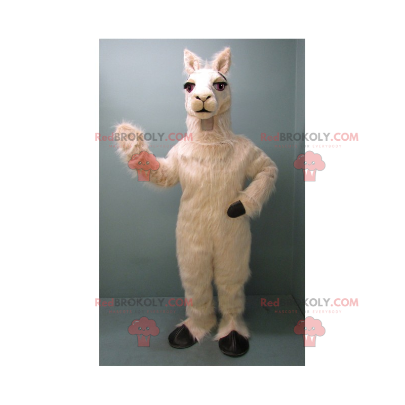 Hvid lama-maskot og sorte ben - Redbrokoly.com