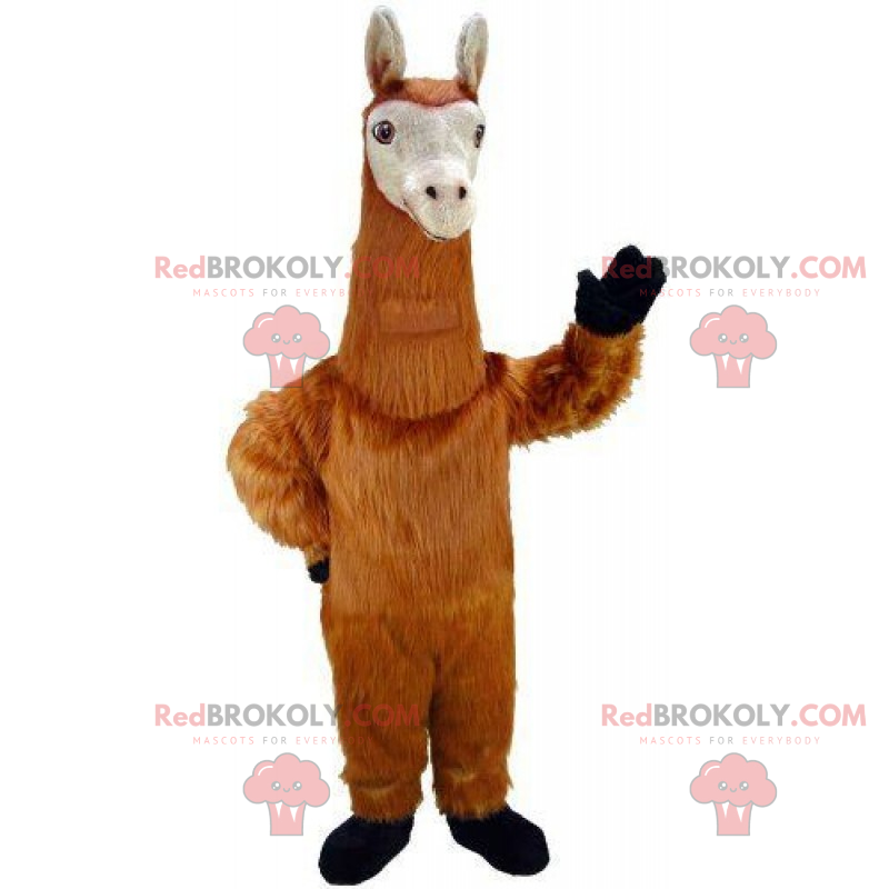 Mascote Brown Lama - Redbrokoly.com