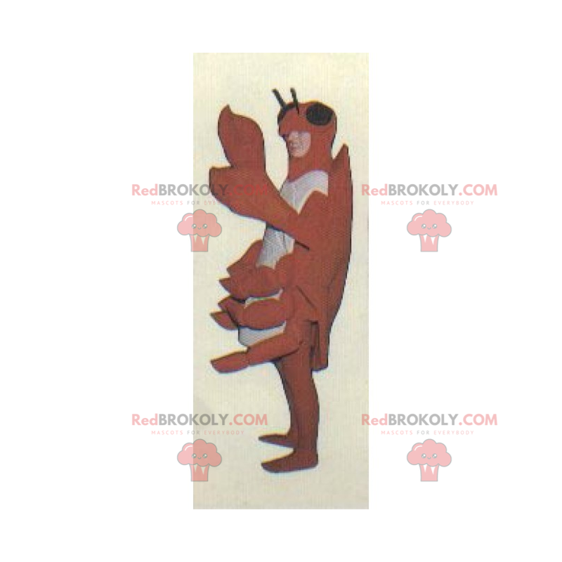 Kreeft mascotte - Redbrokoly.com