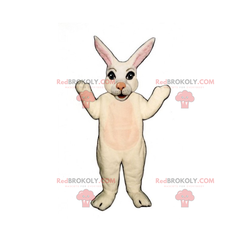 Weißes Kaninchenmaskottchen mit einer rosa Nase - Redbrokoly.com