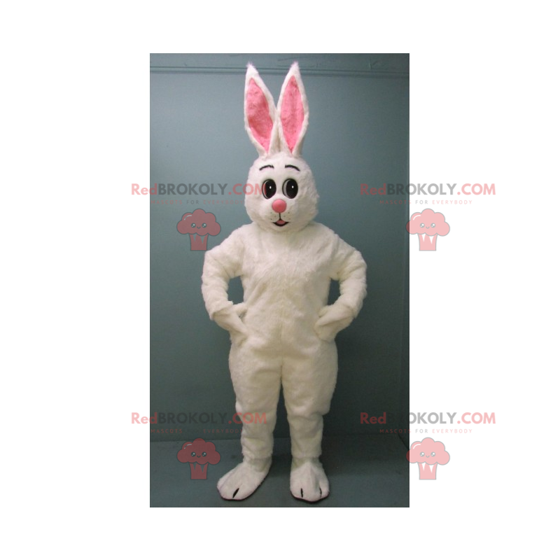 Mascota conejo blanco con grandes orejas rosas - Redbrokoly.com