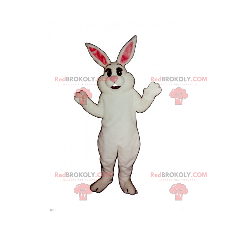 Klassieke witte konijn mascotte - Redbrokoly.com