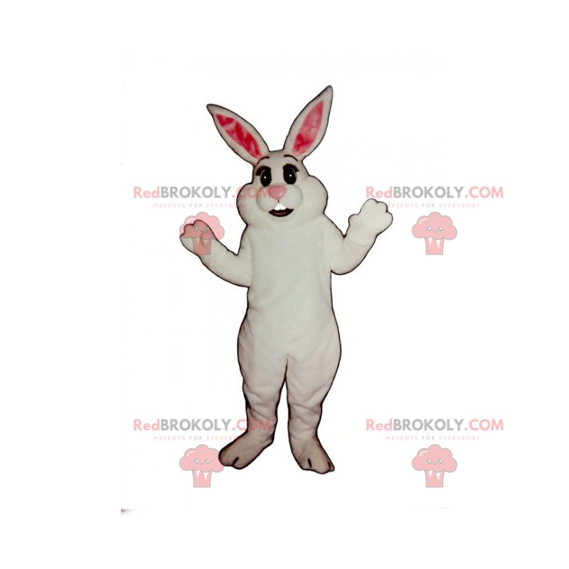 Klasyczna biała maskotka królika - Redbrokoly.com Klasyczna biała maskotka królika - Redbrokoly.com