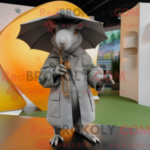 Costume mascotte de tatou...