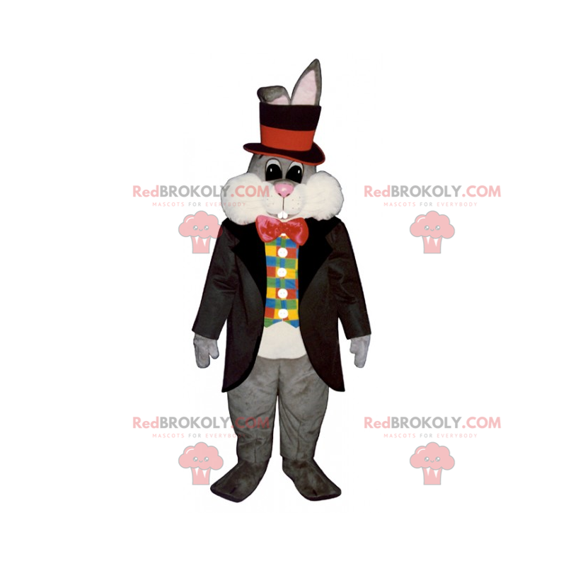 Coelho mascote vestido de mago - Redbrokoly.com Coelho mascote vestido de mago - Redbrokoly.com