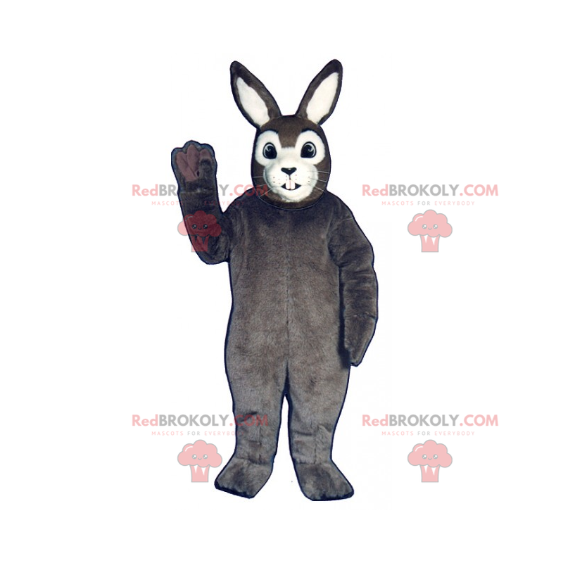 Klassisk grå kaninmaskot - Redbrokoly.com Klassisk grå kaninmaskot - Redbrokoly.com
